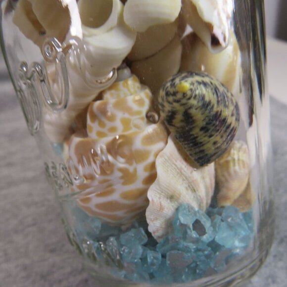 Jar of REAL sea shells with blue sparkly vase filler at bottom - Picture 6 of 8